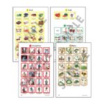 Caja de vocabulario - Imagen 4