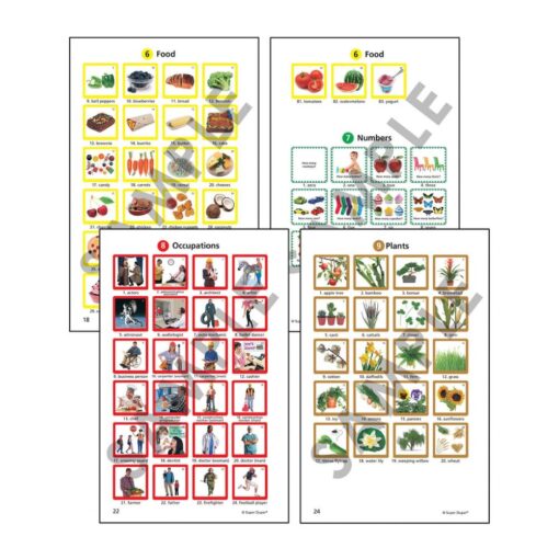 Caja de vocabulario - Imagen 4