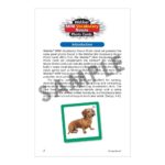 Caja de vocabulario - Imagen 5