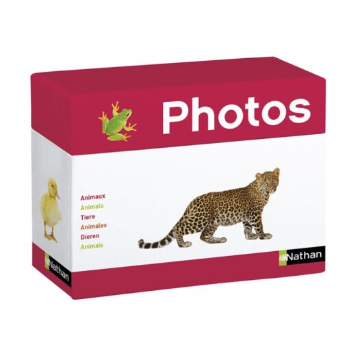 Caja de fotoimágenes maxi - Los animales - Imagen 3