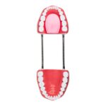 Modelo boca gigante Webber® Whopper Mouth- Tipodonto - Imagen 6