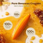 Beeswax Banana Colors - Pack of 12 - Image 8