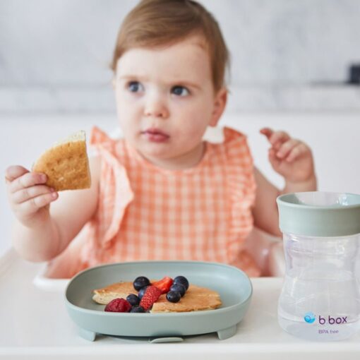 Plato con ventosa y divisor extraíble – b.box - Imagen 10