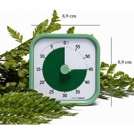 Time Timer MOD Home Edition verde entre helechos, con sus medidas de unos 8,9 cm de ancho y de alto